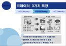 빅데이터의 동향과 시사점 10페이지