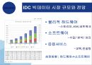 빅데이터의 동향과 시사점 17페이지