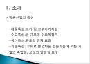 보잉사와 에어버스사의 비교 4페이지