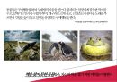 20대를 위한 헌혈 증진 방안 16페이지