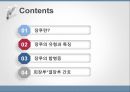 장루의 유형, 장루간호 합병증,장루간호절차성인간호실습주제발표 2페이지