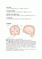 성인간호실습CASE [ICH] A+받은 자료입니다!! 5페이지