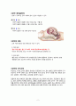 여성간호실습CASE[NSVD] A+받은 자료입니다!! 4페이지