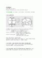 여성간호실습CASE[NSVD] A+받은 자료입니다!! 5페이지