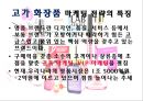 화장품 회사 마케팅 전략 15페이지