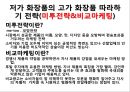 화장품 회사 마케팅 전략 16페이지