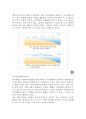환경행정론 - 지진해일 “쓰나미” 5페이지