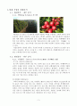 [중소기업 경영론] 카페베네 (Caffe Bene) 5페이지