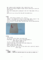 [간호학] Appendicitis 환자간호 4페이지
