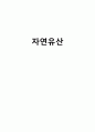 [간호학] 자연유산 1페이지