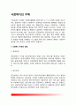 사회복지의 주체(공공부문과 민간부문 사회복지의 실시주체 사회복지서비스의 공급주체) 2페이지