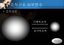 [거시경영조직론] 조직구조가 조직의 성과에 중요한 영향을 준다 8페이지