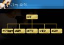 [거시경영조직론] 조직구조가 조직의 성과에 중요한 영향을 준다 13페이지