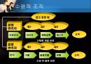 [거시경영조직론] 조직구조가 조직의 성과에 중요한 영향을 준다 17페이지