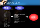 [거시경영조직론] 조직구조가 조직의 성과에 중요한 영향을 준다 31페이지