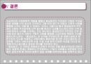 신화원형 비평 19페이지