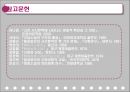 신화원형 비평 21페이지