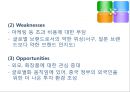 아모레 퍼시픽 [화장품 산업 특징 소개 연혁 비젼 목표 기업내부분석 swot 분석 글로벌 전략 중국 진출 전략] 12페이지