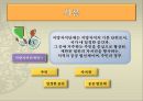 지방자치 단체의종류 3페이지