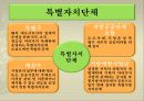 지방자치 단체의종류 13페이지
