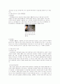 지구환경의 실태와 대책 [수질오염 대기오염 토양오염] 3페이지