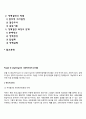 포플과 레닝거의 사회복지정책 분석틀 2페이지