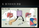 장기이식의 과정장기이식의 역사장기이식의 문제점장기이식 찬반양론 15페이지