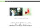발효학식초의 세계화식초의 효능식초 건강감식초 식초발효식초발효화장품 13페이지