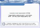 글로벌 CSR활동의 현황과 과제 4페이지
