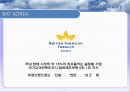 글로벌 CSR활동의 현황과 과제 32페이지