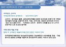 글로벌 CSR활동의 현황과 과제 36페이지