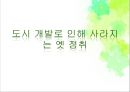 도시 개발피맛골동대문 운동장세운상가수복형 재개발동대문 역사문화공원 1페이지