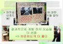 도시 개발피맛골동대문 운동장세운상가수복형 재개발동대문 역사문화공원 7페이지