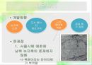도시 개발피맛골동대문 운동장세운상가수복형 재개발동대문 역사문화공원 13페이지