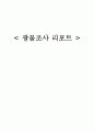 [자연과학] 광물조사자료 1페이지