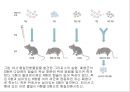 생명체의 특성생명의 연속성세포주기감수분열형질의 유전염색체DNA 구조와 기능유전공학 3페이지