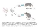 생명체의 특성생명의 연속성세포주기감수분열형질의 유전염색체DNA 구조와 기능유전공학 4페이지