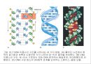 생명체의 특성생명의 연속성세포주기감수분열형질의 유전염색체DNA 구조와 기능유전공학 8페이지