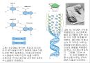 생명체의 특성생명의 연속성세포주기감수분열형질의 유전염색체DNA 구조와 기능유전공학 10페이지