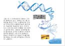 생명체의 특성생명의 연속성세포주기감수분열형질의 유전염색체DNA 구조와 기능유전공학 11페이지