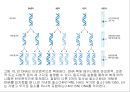 생명체의 특성생명의 연속성세포주기감수분열형질의 유전염색체DNA 구조와 기능유전공학 12페이지