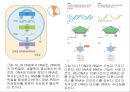 생명체의 특성생명의 연속성세포주기감수분열형질의 유전염색체DNA 구조와 기능유전공학 15페이지