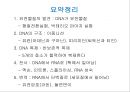생명체의 특성생명의 연속성세포주기감수분열형질의 유전염색체DNA 구조와 기능유전공학 29페이지