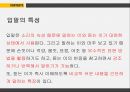 언어와 문자 8페이지