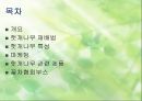확 깨는 헛개나무 [재배법 특성 마케팅] 2페이지
