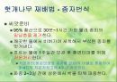 확 깨는 헛개나무 [재배법 특성 마케팅] 5페이지