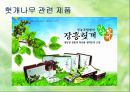 확 깨는 헛개나무 [재배법 특성 마케팅] 16페이지