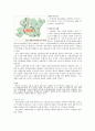기행문 - 전봉준과 단풍이 있는 곳  정읍(井邑) 4페이지