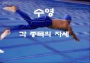 수영 - 각 종목의 자세 1페이지