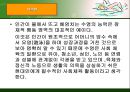수영 - 각 종목의 자세 3페이지